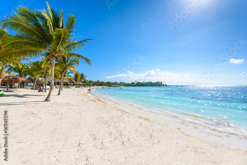 Fototapeta Naklejka Na Ścianę i Meble -  Akumal beach - paradise bay  Beach in Quintana Roo, Mexico - caribbean coast