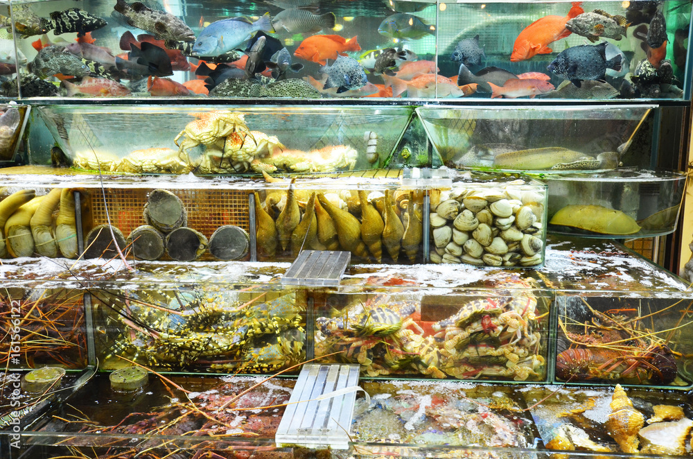 Variety of fresh live seafood