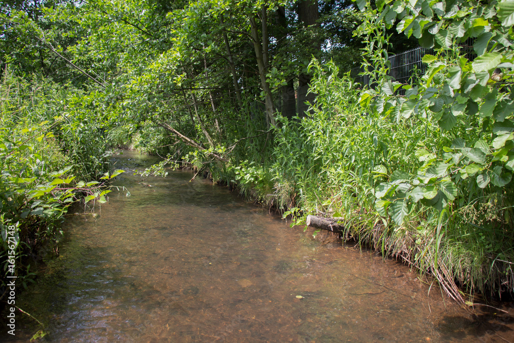Fluss im Wald Fluss im Wald