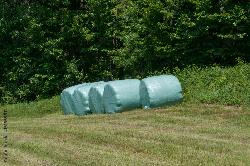 Row of plastic wrapped hay bales on a green field Row of plastic wrapped hay bales on a green field