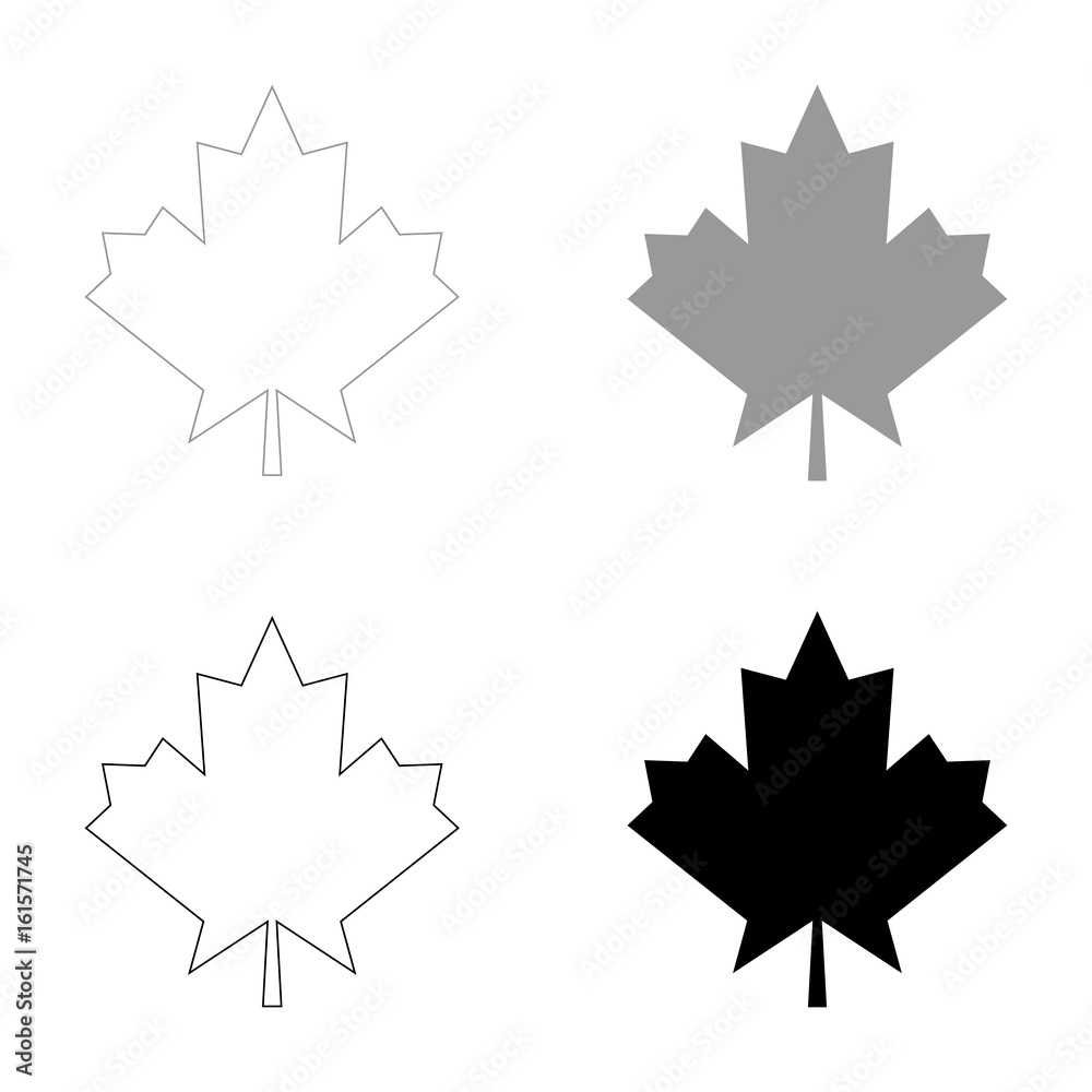Maple leaf the black and grey color set icon . Maple leaf the black and grey color set icon .
