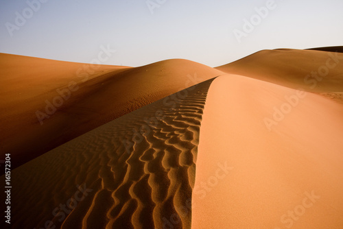 Fototapeta Naklejka Na Ścianę i Meble -  Desert Art