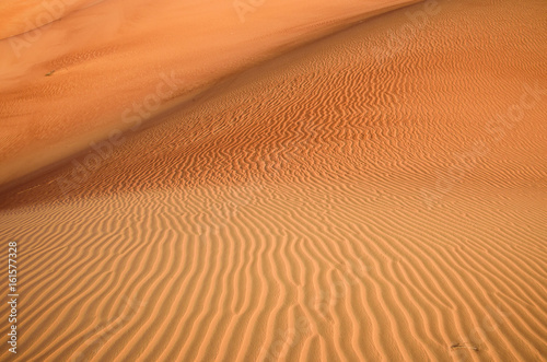 Desert Art © Bin Wang