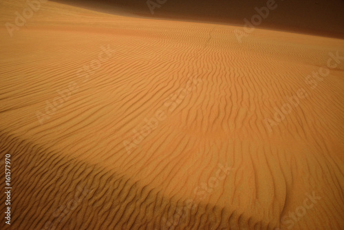 Desert Art