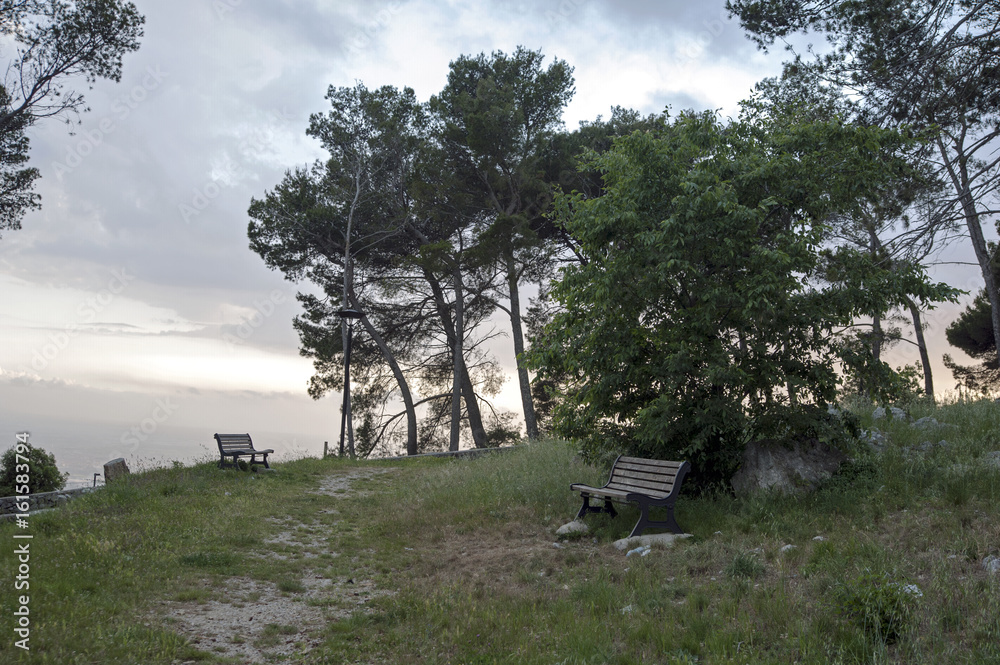 Benches in the park in the evening Benches in the park in the evening