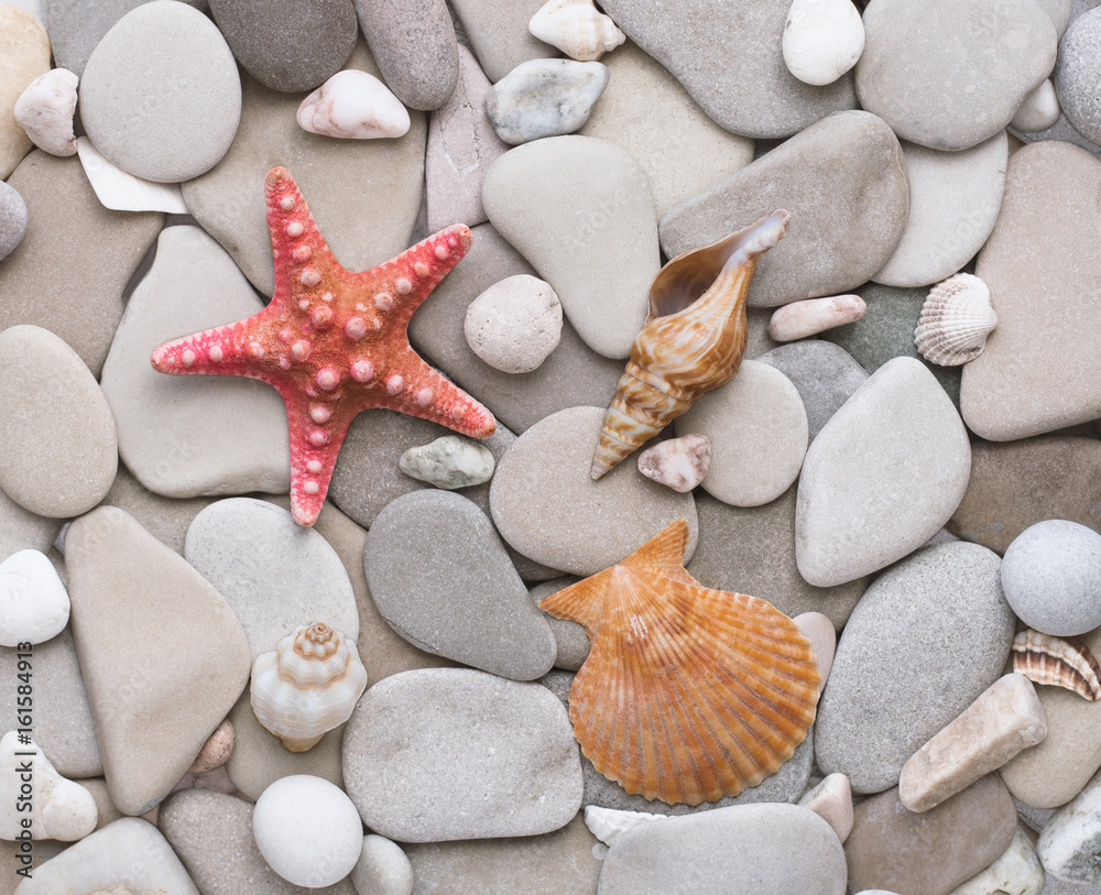 Smooth round pebbles, starfish and seashells. Smooth round pebbles, starfish and seashells.