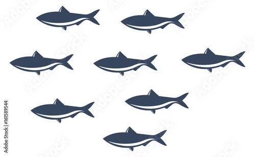 School of fish