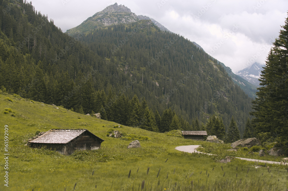 Wandern in den Österreicher Alpen