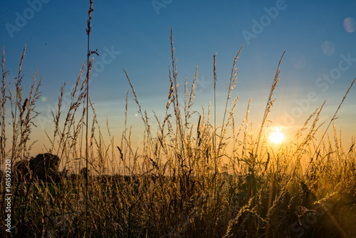 Sundown over a field at a village