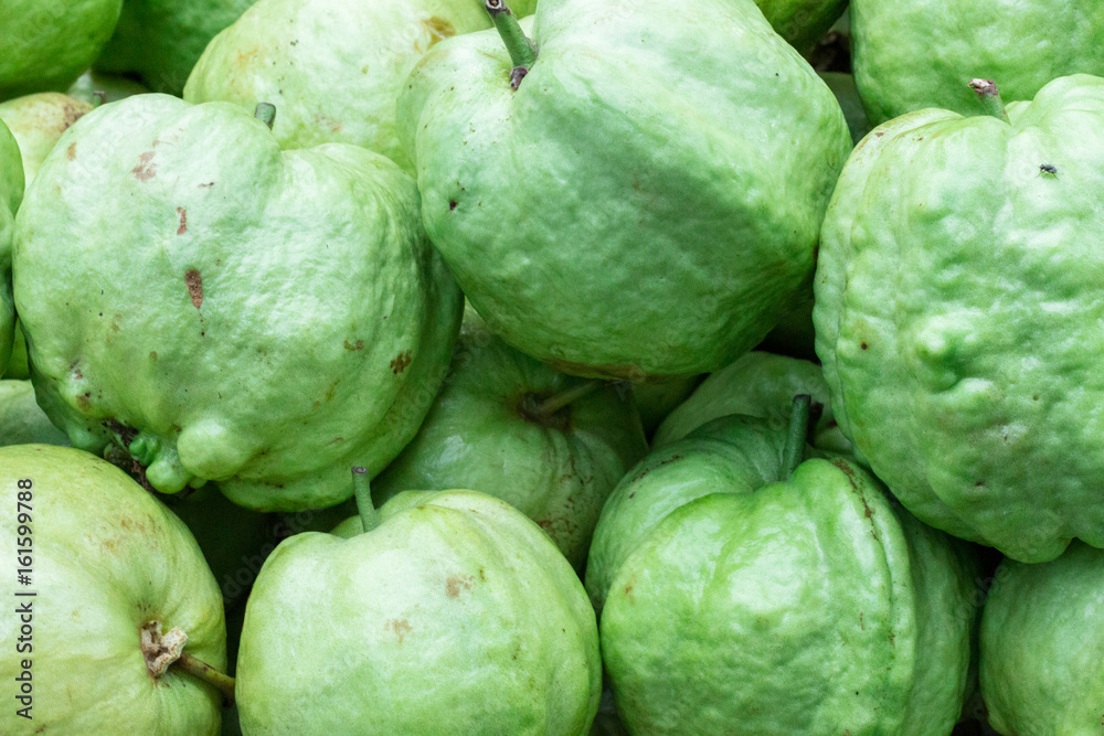 Fruit Common guava : グァバ・果物 Fruit Common guava : グァバ・果物