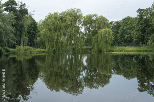 Lake pond in a forest park with trees on the shore with a pier for fishing © Sergiy