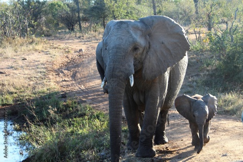 momma and baby