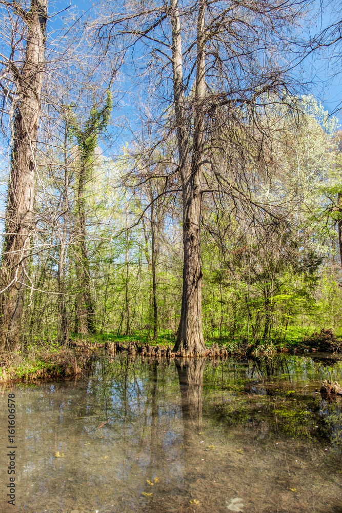 Spring landscape with the river and blue sky