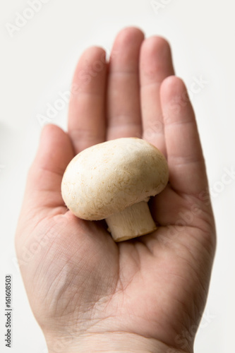 mushroom in his hand