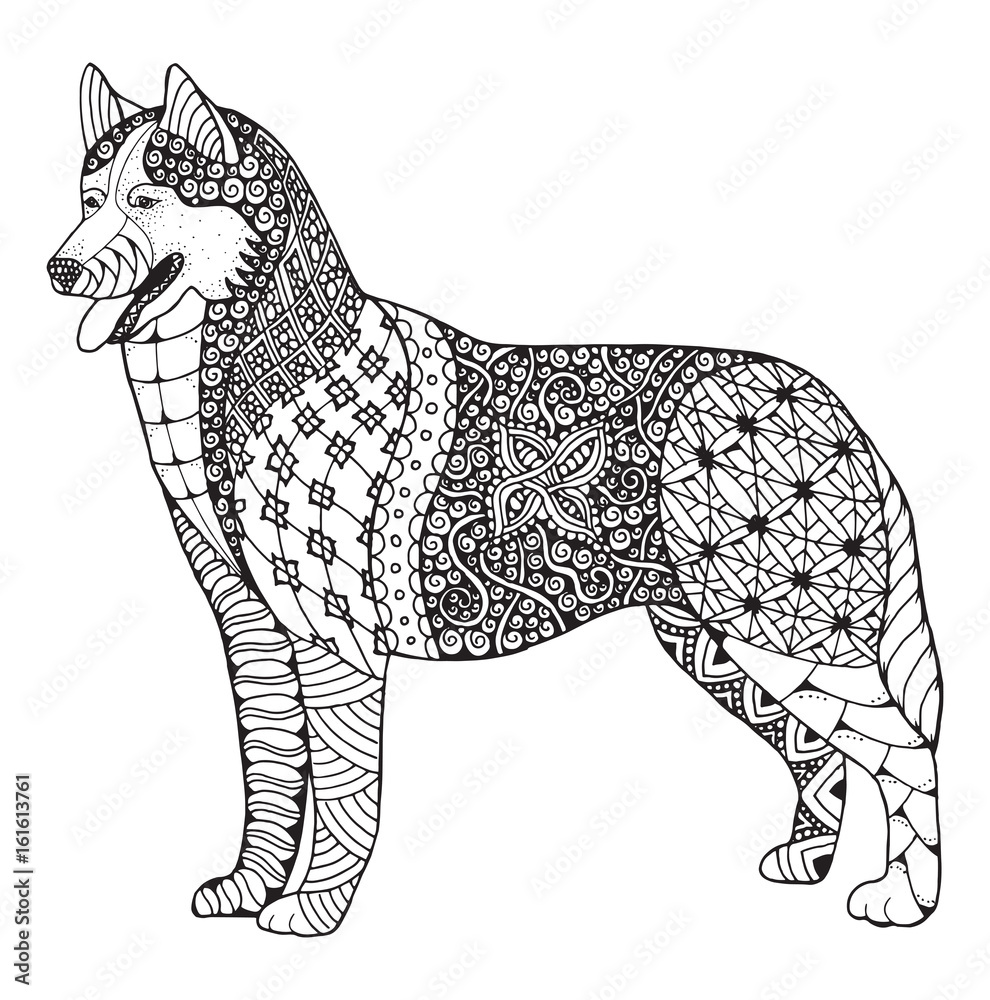 Fotografie Siberian husky dog zentangle stylized, vector, illustration, freehand pencil, hand drawn, pattern