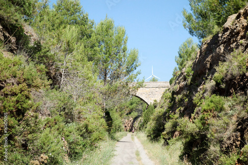 By the way green eyes black in the province of Castellón photo