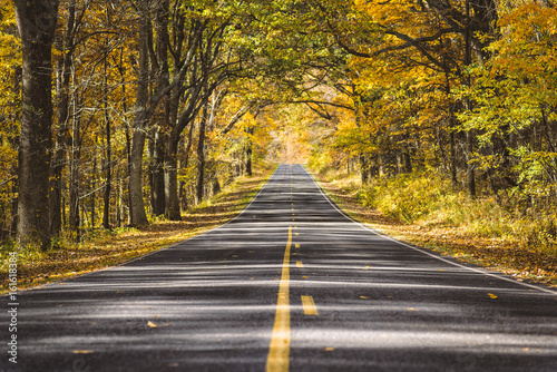 Carretera y otoño / Sunset road