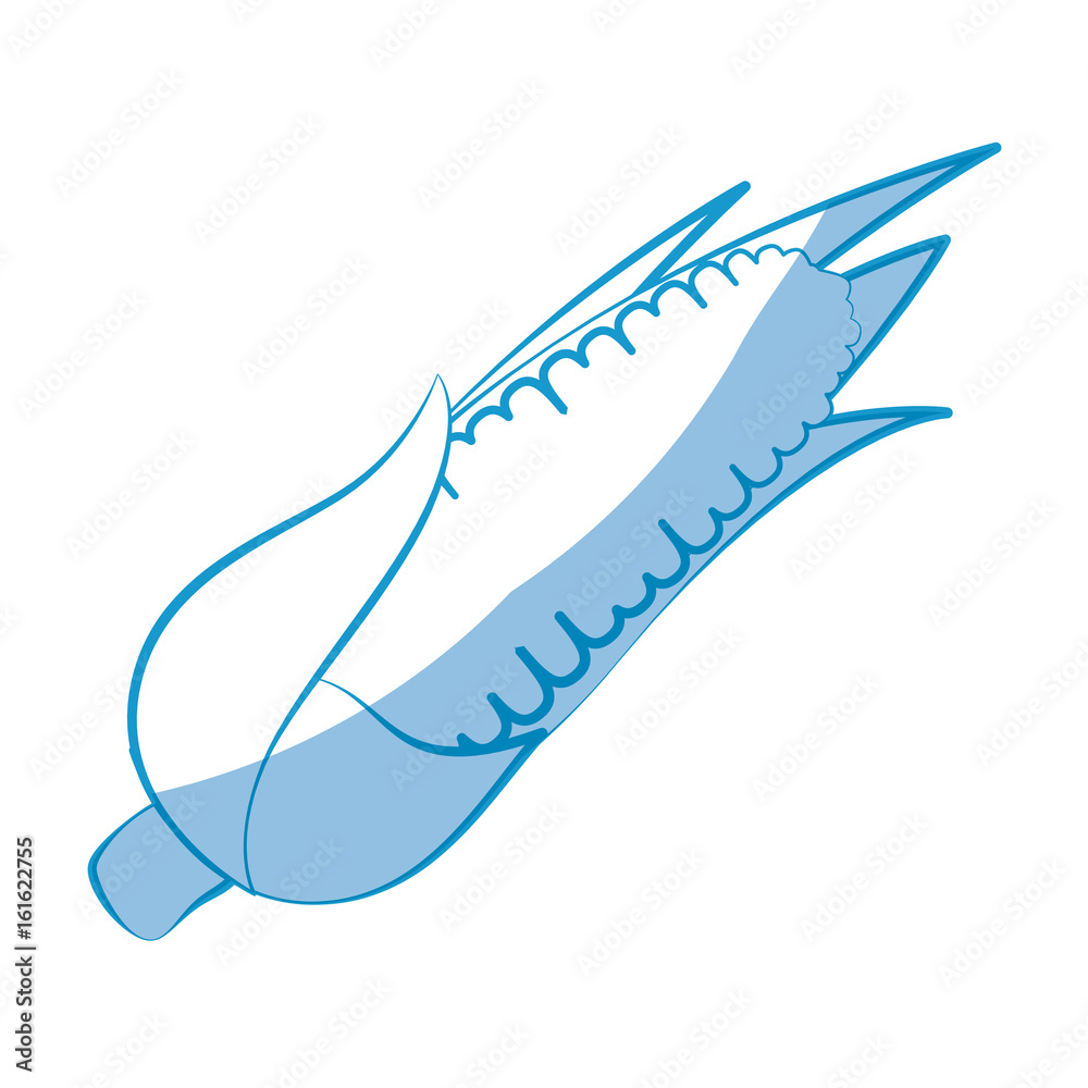 corn vegetable icon over white background vector illustration corn vegetable icon over white background vector illustration