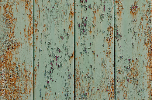 Background of gray-green rusty boards, cracked paint