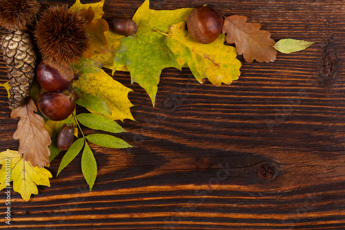 Autumn foliage with chestnuts