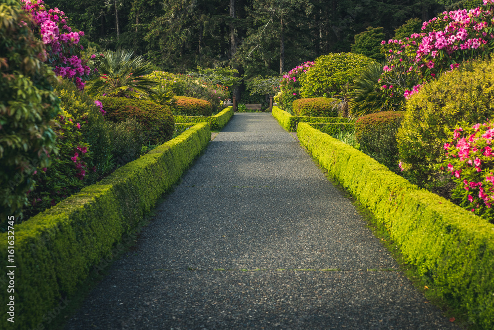 Obraz premium Lush flower garden.