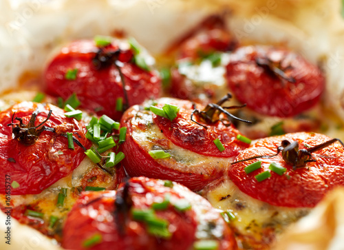 Oven baked tomatoes stuffed with spinach, cheese and herbs, close up. Delicious and nutritious vegetarian meal
