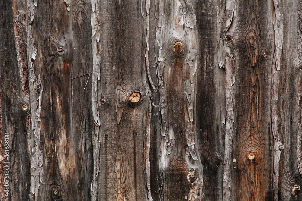 Wood textures Wood textures