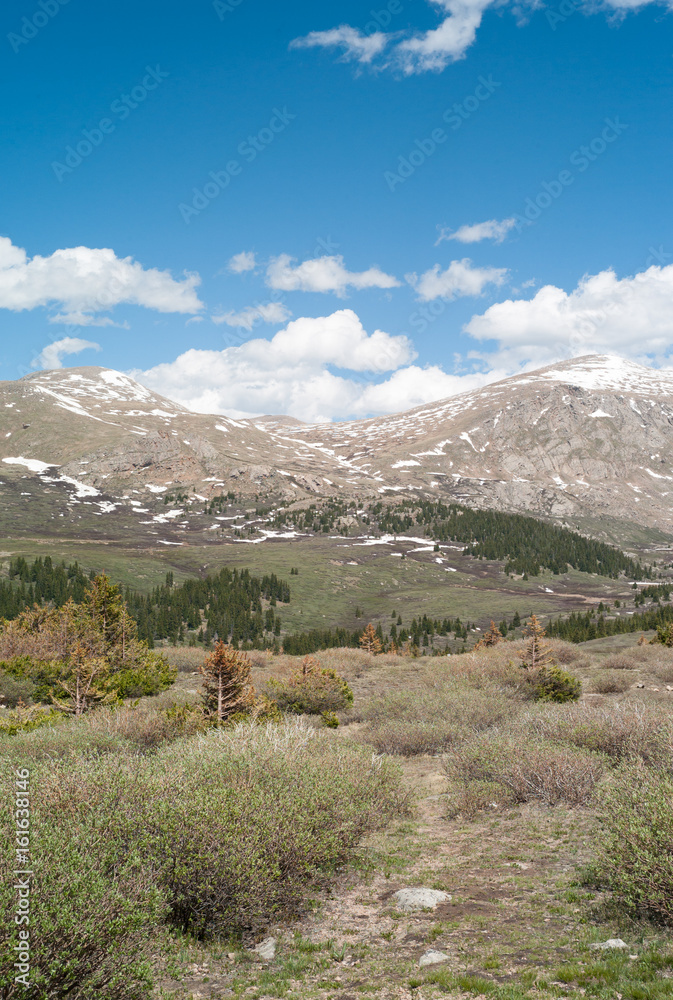 Guanella Pass Colorado
