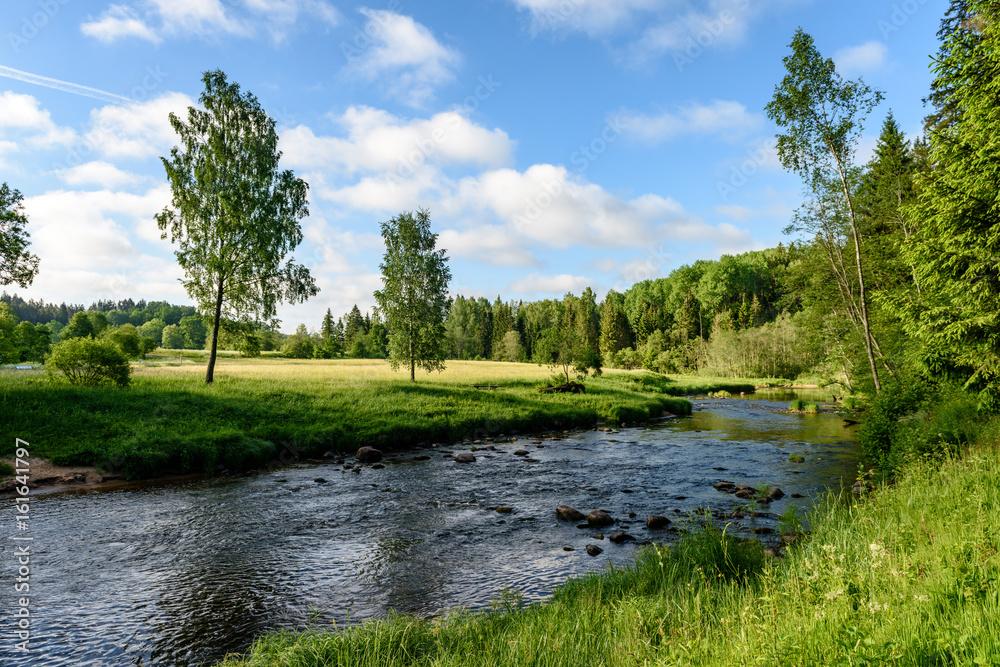 beautyful morning light over forest river beautyful morning light over forest river