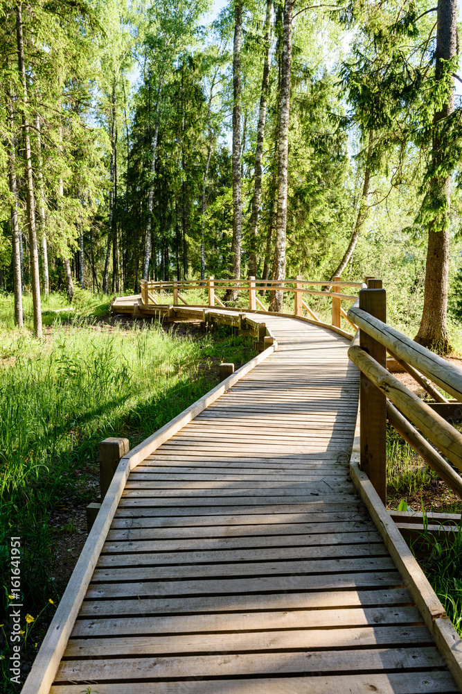 wooden footbridge in the forest
