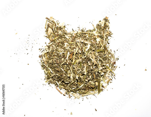 Photography Catnip in the Shape of a Cat on White Background