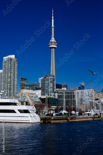 Canvas Print CN Tower