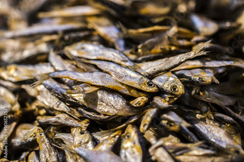 background of golden smoke-dried fish close up