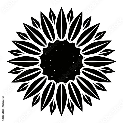 Isolated flower silhouette