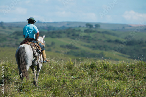 cavalo crioulo © Cesar Machado