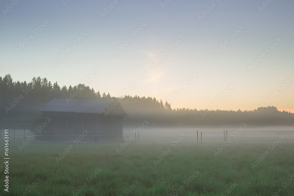 A shed on a field in the fog