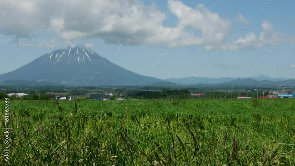 北海道 夏の高原風景 北海道 夏の高原風景