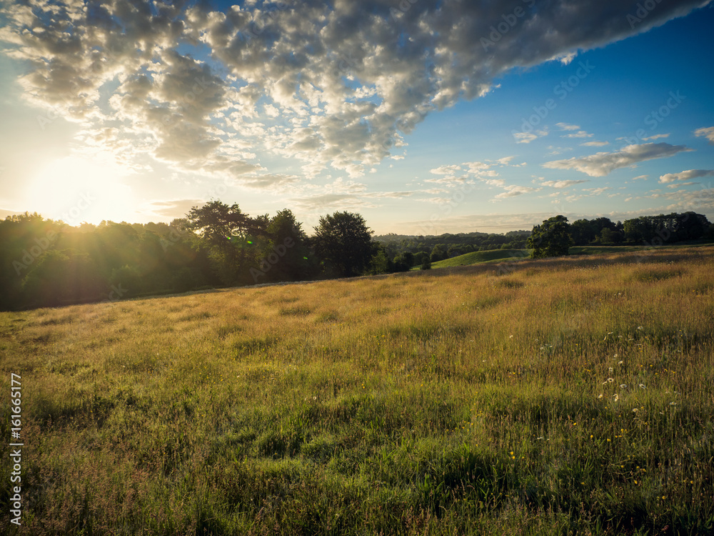 Obraz premium summer countryside morning,Northern Ireland