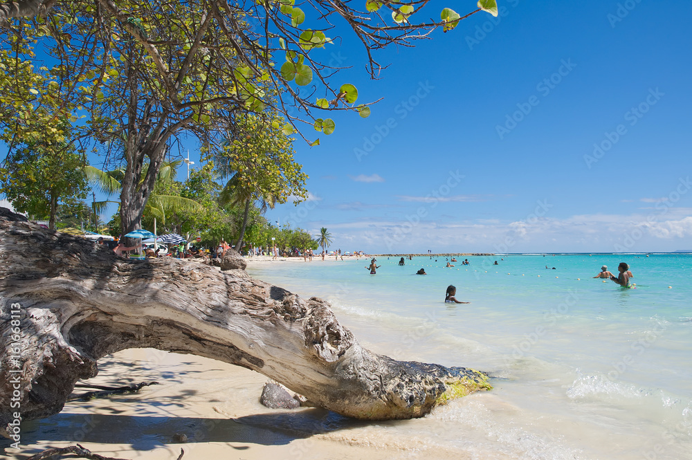 Tropical beach of Sainte Anne - Caribbean Sea - Guadeloupe tropical island