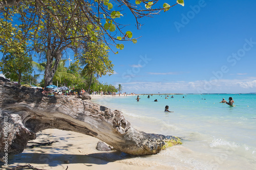 Obraz na płótnie Tropical beach of Sainte Anne - Caribbean Sea - Guadeloupe tropical island w salonie