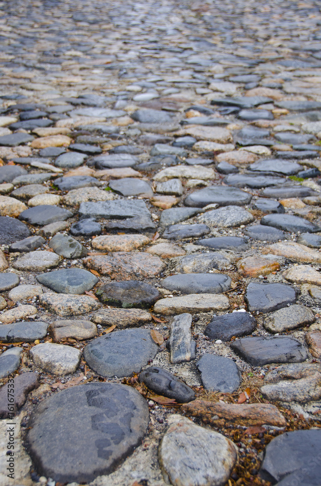 Fototapeta premium Cobblestone Street in French Quarter of Charleston