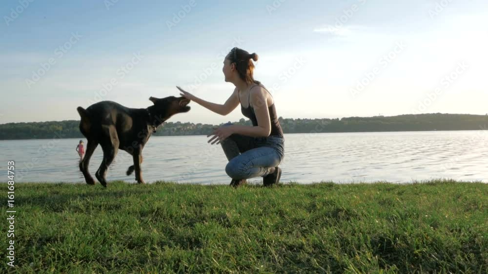 girl or woman is walk and play with Doberman Pinscher dog in the park near the lake on the background of sunset girl or woman is walk and play with Doberman Pinscher dog in the park near the lake on the background of sunset
