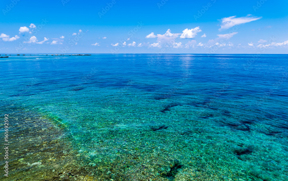 Sea, reef. Okinawa, Japan, Asia.