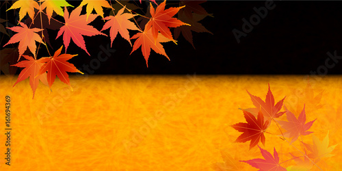 紅葉　もみじ　葉　背景