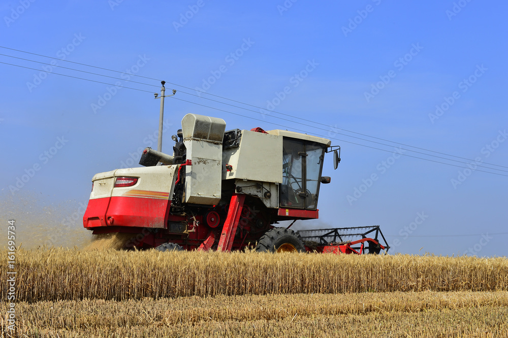 Obraz premium Harvester in wheat