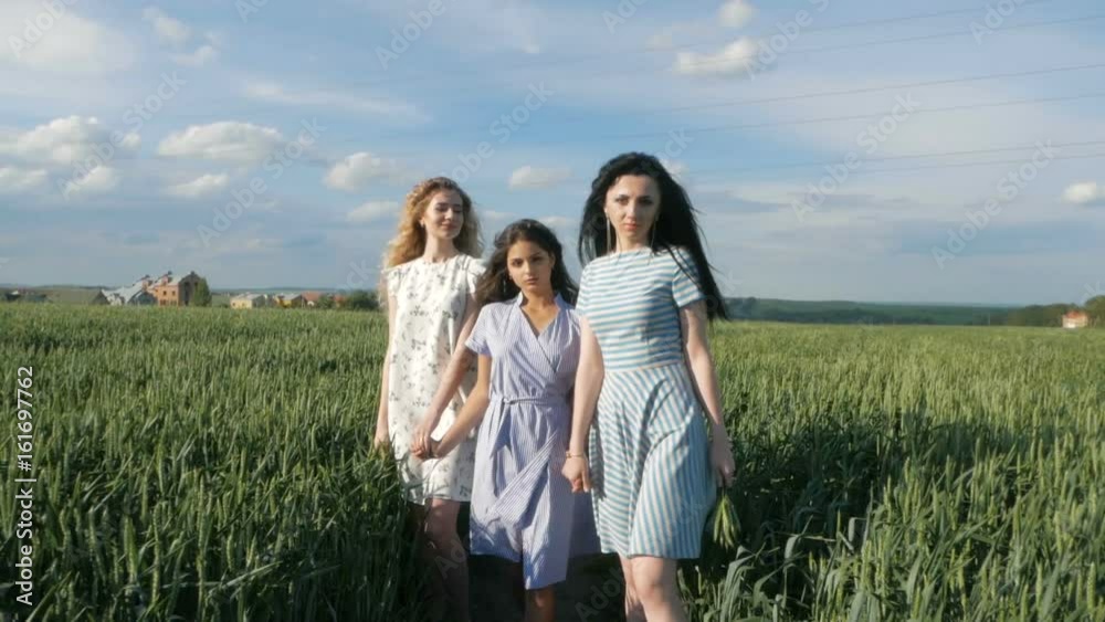 Three beautiful lady or women in wheat field Three beautiful lady or women in wheat field