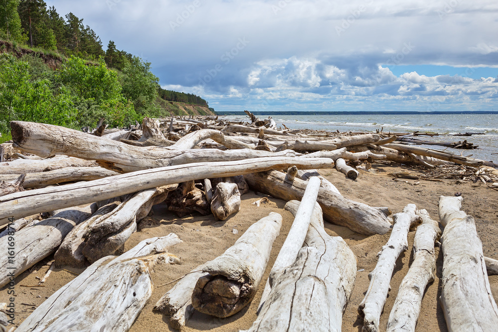 The accumulation of drift wood on the shore of the Ob reservoir The accumulation of drift wood on the shore of the Ob reservoir
