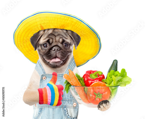 Funny puppy farmer with vegetables showing thumbs up. isolated on white background © Ermolaev Alexandr
