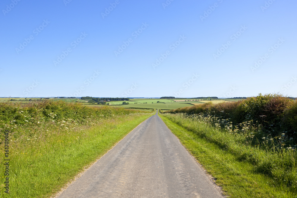 scenic country road