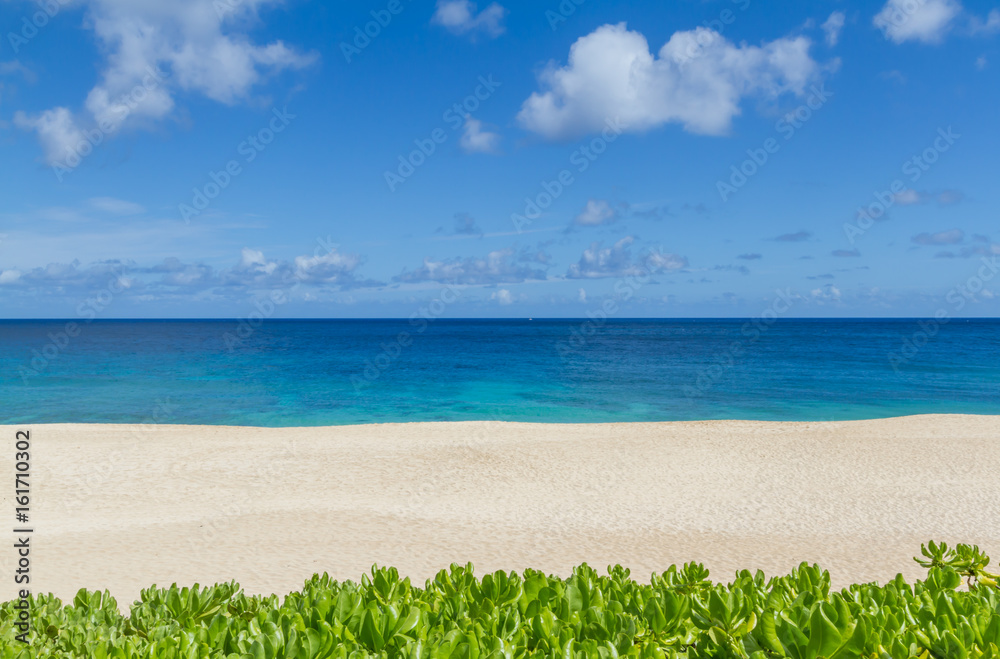 Tropical sandy beach in Hawaii